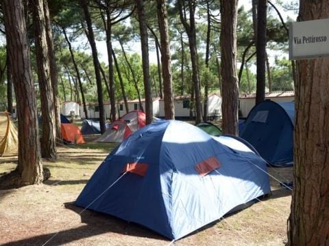 Camping Mare e Pineta - Camping Ferrare - Image N°14