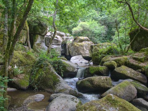 Camping L'Etang Aux Hirondelles - Camping Cantal - Image N°12