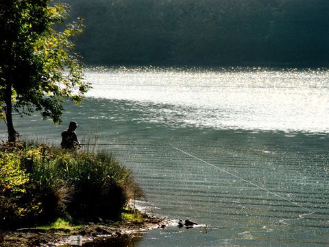 Flower Camping Lac du Causse - Camping Correze - Image N°12