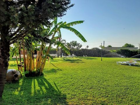 Camping Lilybeo Village - Camping Trapani - Image N°14