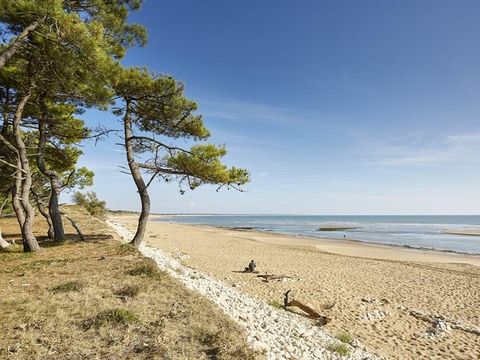 Camping La Frétille - Camping Vendée - Image N°42