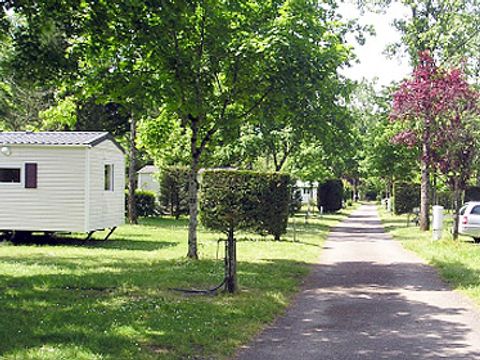 Camping Le Saulou - Camping Corrèze - Afbeelding N°4