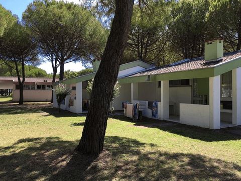 Camping Village Marina Julia  - Camping Gorizia - Image N°31