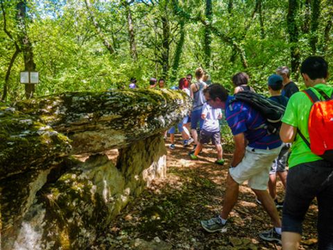 Camping Lac aux Oiseaux - Camping Aveyron - Image N°9