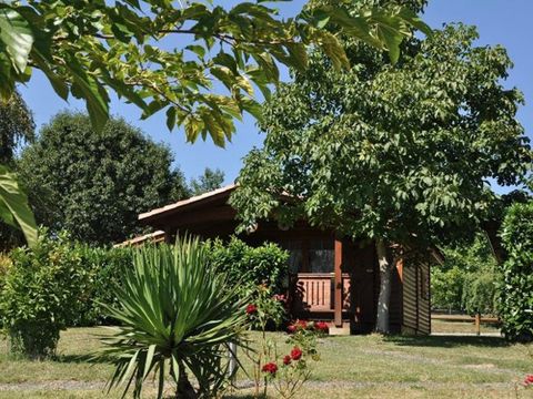 Camping Midi Pyrénées  - Camping Haute-Garonne - Image N°19