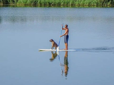 Camping Domaine de l'Ubaye - Camping Alpes-de-Haute-Provence - Image N°28