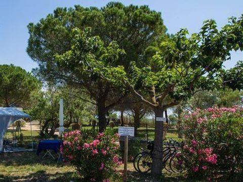 Camping Beau Rivage - Ciela Village - Camping Hérault - Image N°49