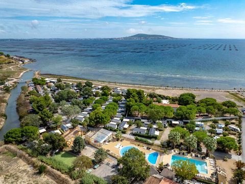 Camping Beau Rivage - Ciela Village - Camping Hérault - Image N°77