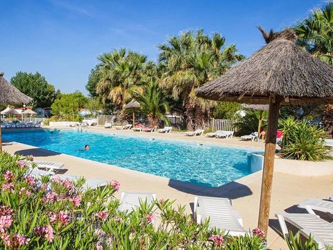 Camping Beau Rivage - Ciela Village - Camping Hérault - Image N°19