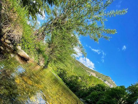 Flower Camping Saint Lambert - Camping Aveyron - Image N°19