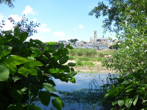 Camping de Nevers  - Camping Nièvre - Image N°22