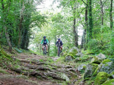 Camping Au Lac d'Hautibus - Camping Deux-Sèvres - Image N°11