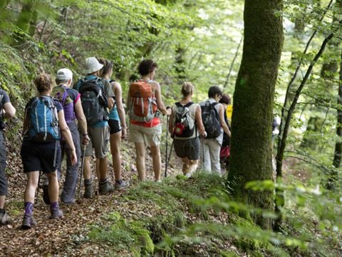 Camping Paradis - L'Europe - Camping Puy-de-Dôme - Image N°38