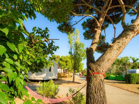 Camping La Falaise Narbonne Plage - Camping Aude - Image N°21