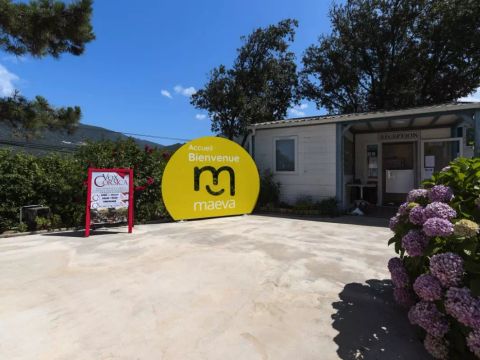 Camping maeva Escapades Le Colomba  - Camping Southern Corsica - Image N°70