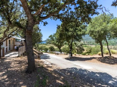 Camping maeva Escapades Le Colomba  - Camping Southern Corsica - Image N°74