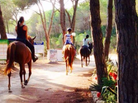 Camping Bella Sardinia - Camping Oristano - Image N°21