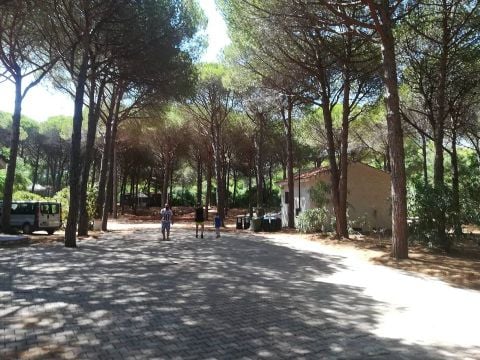 Camping Bella Sardinia - Camping Oristano - Image N°30