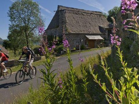 Flower Camping  La Rochelambert - Camping Haute-Loire - Image N°65