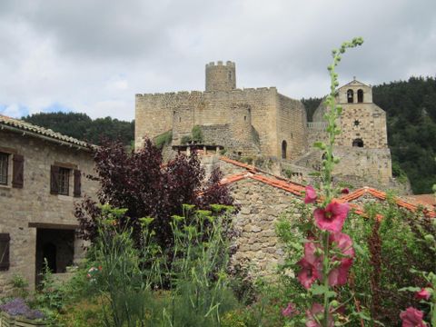 Flower Camping  La Rochelambert - Camping Haute-Loire - Image N°81