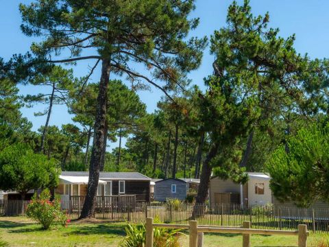 Camping Atlantic Club Montalivet - Camping Gironde - Image N°42