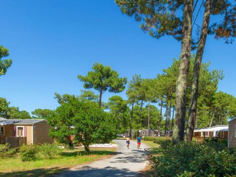 Camping Atlantic Club Montalivet - Camping Gironde - Image N°44