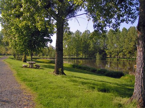 Camping Le Moulin Des Effres - Camping Deux-Sèvres - Image N°55