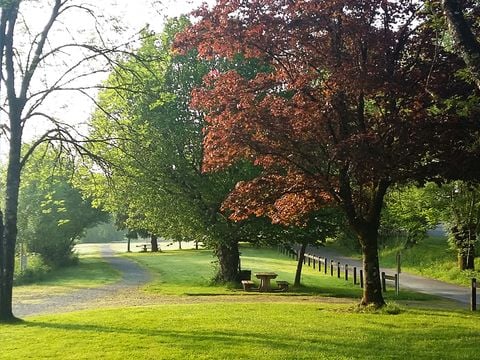 Camping Le Moulin Des Effres - Camping Deux-Sèvres - Image N°62