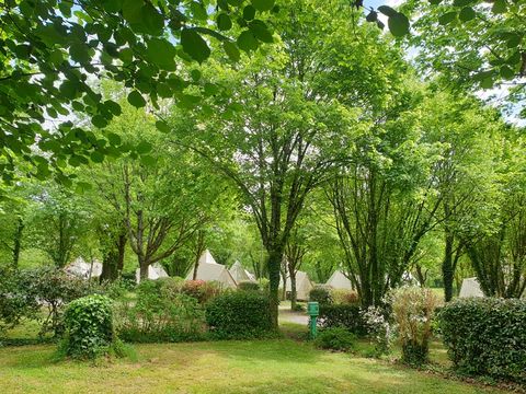 Camping Le Moulin Des Effres - Camping Deux-Sèvres - Image N°41