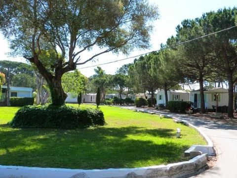 Camping 3 Estrellas Costa Brava  - Camping Girona - Image N°33