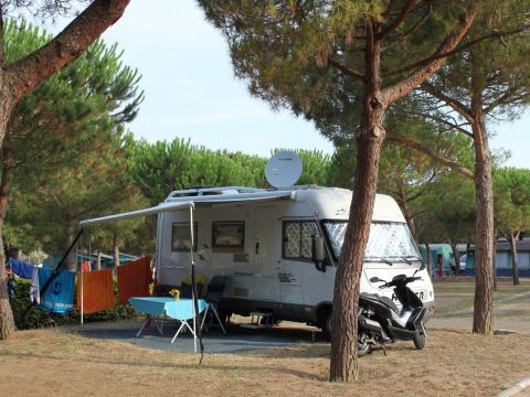 Camping Internacional Palamos - Camping Gérone - Image N°46