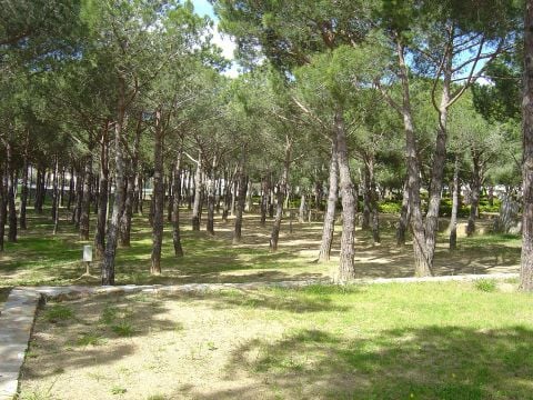 Camping Internacional Palamos - Camping Gérone - Image N°43