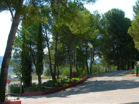 Camping Lago Resort - Camping Zaragoza - Image N°19