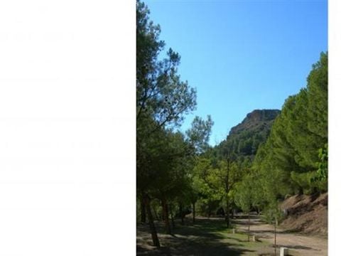 Camping Lago Resort - Camping Zaragoza - Image N°54