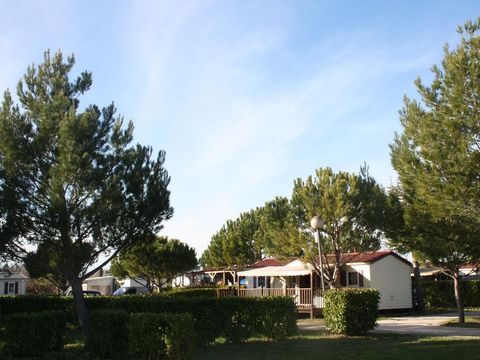 Camping Manon - Camping Vaucluse - Image N°11