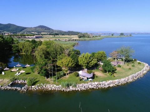 Camping Trasimeno  - Camping Pérouse - Image N°21