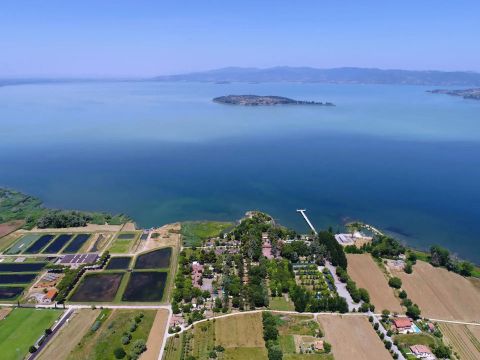 Camping Trasimeno  - Camping Pérouse - Image N°24