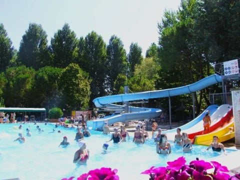 Camping Trasimeno  - Camping Pérouse - Image N°8