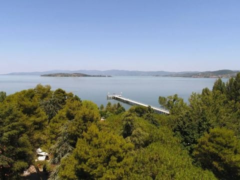 Camping Trasimeno  - Camping Pérouse - Image N°26