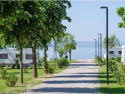 Camping Trasimeno  - Camping Pérouse - Image N°11