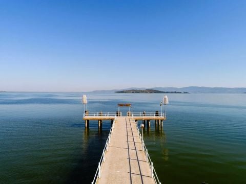 Camping Trasimeno  - Camping Pérouse - Image N°31