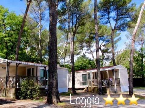 MOBILE HOME 4 people - Maxi Confort IRM Loggia 4 pers 2Ch