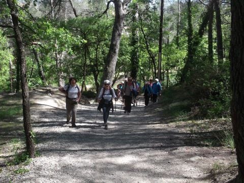 Camping Le Devancon - Camping Bouches-du-Rhône - Image N°26