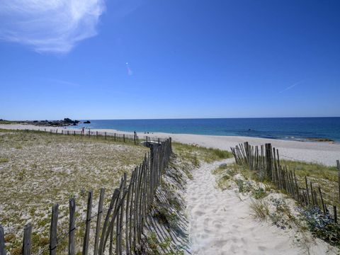 Flower Camping La Grande Plage - Camping Finistère - Image N°41