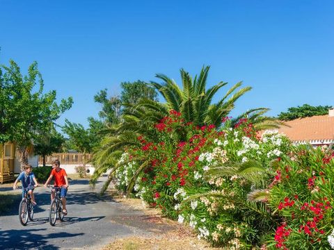 Camping Novela Port la Nouvelle - Camping Aude - Image N°4