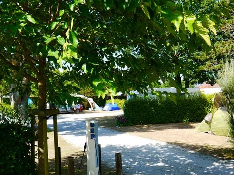 Camping La Corniche - Camping Finistère - Image N°25