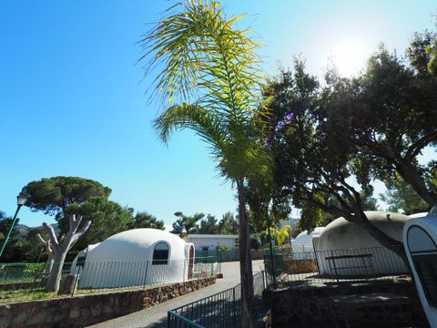 BUNGALOW 2 people - IGLOO with fridge