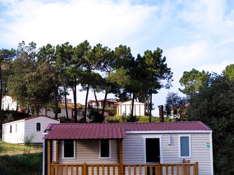 MOBILE HOME 6 people - 3 Rooms in Saturday