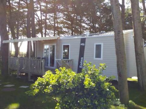 MOBILE HOME 4 people - 2 bedrooms (up to 40m²)