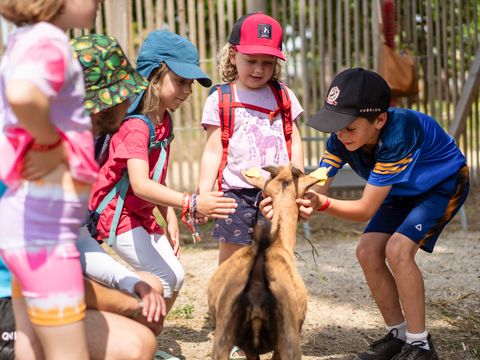 Camping SUNELIA Les Sablons - Camping Hérault - Image N°12